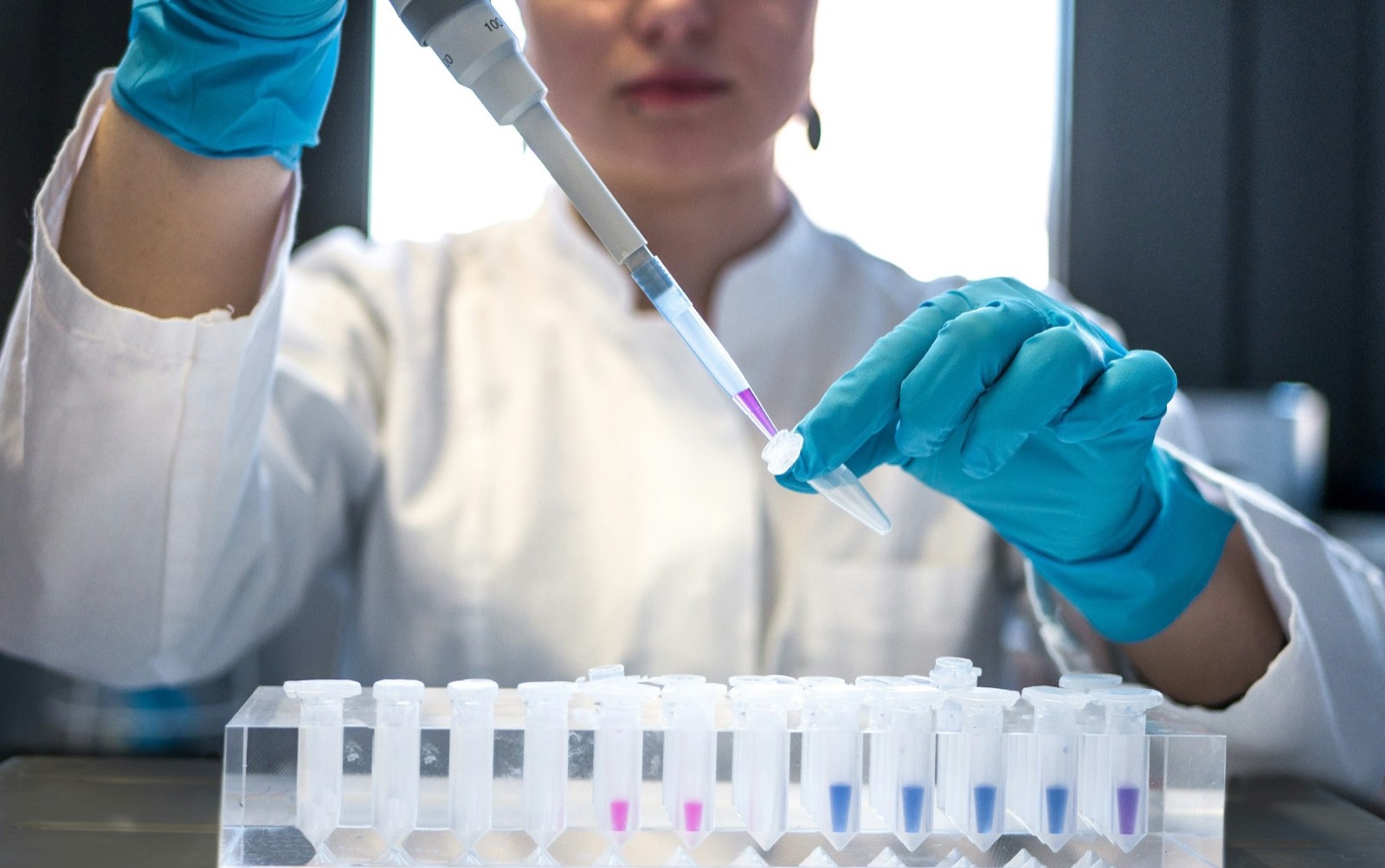 A scientist in blue gloves filling a row of test tubes with a pipette